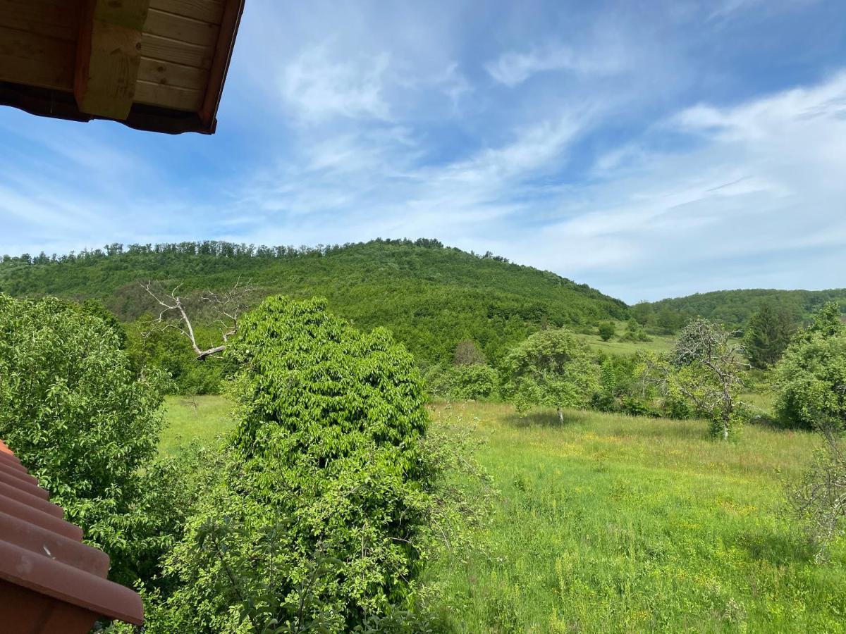 Casa Dea Villa Gladna Montana Buitenkant foto