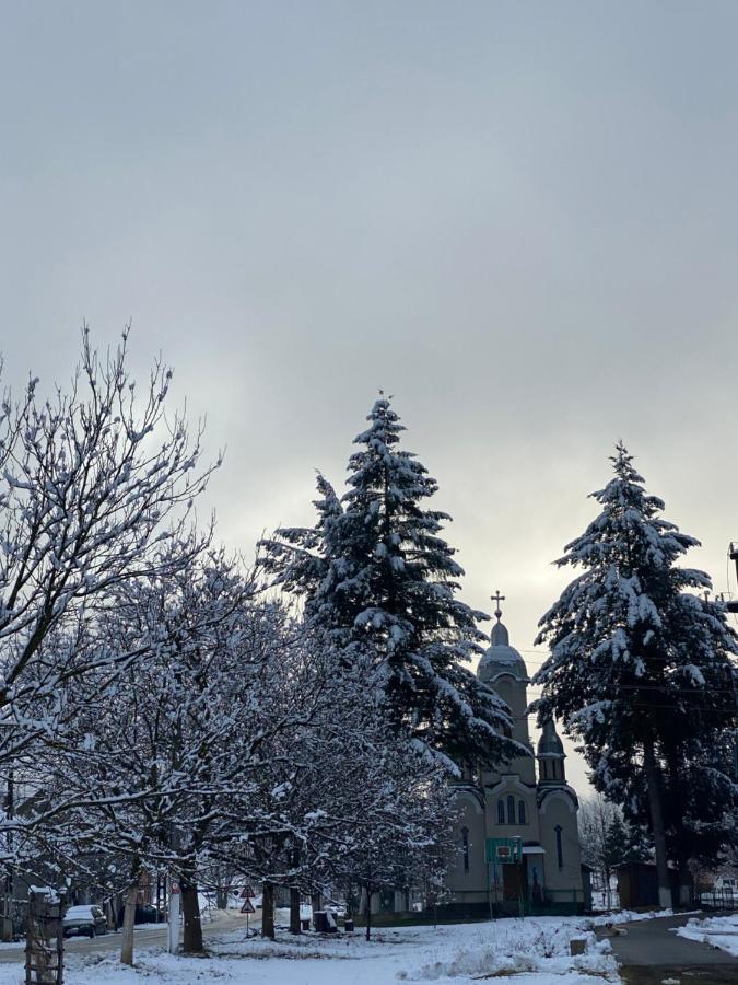 Casa Dea Villa Gladna Montana Buitenkant foto